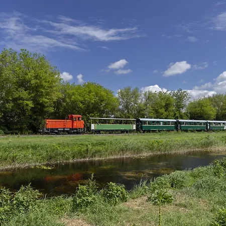 Διαμέρισμα In 19551